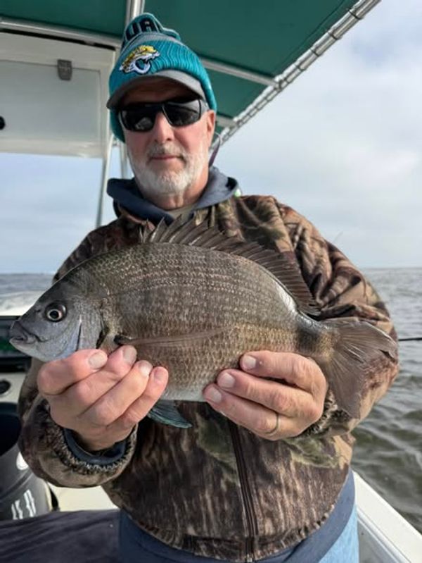 Bell & Anchor Fishing Charters