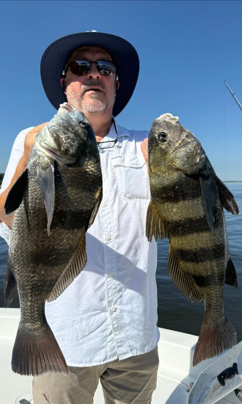 Bell & Anchor Fishing Charters