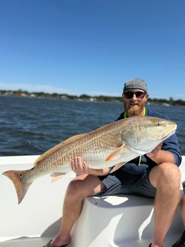 Bell & Anchor Fishing Charters