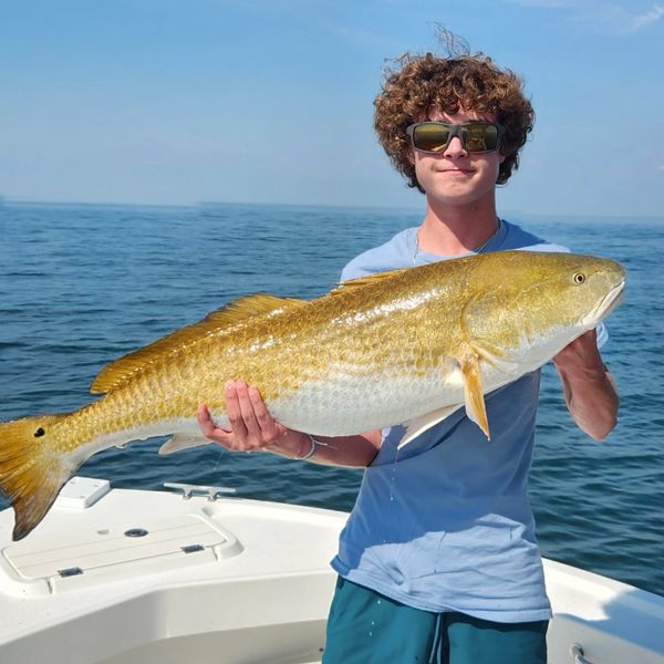 River Wing Guide Services