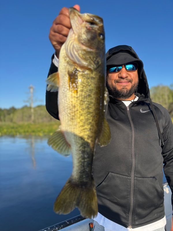 Southern Fried Charters