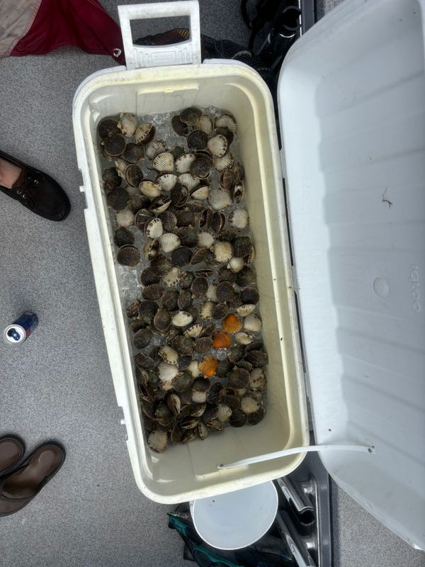 Southern Fried Charters