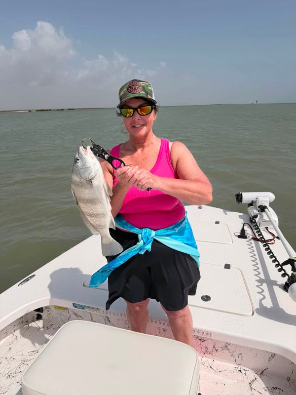 Fish in the box with Capt. Marc