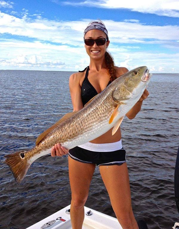 SharkTooth Charters