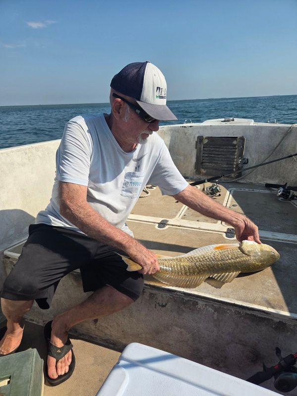 SharkTooth Charters