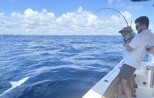 Palm Beach Charters
