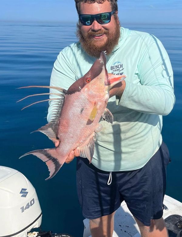 Bear Hull Fishing Charters