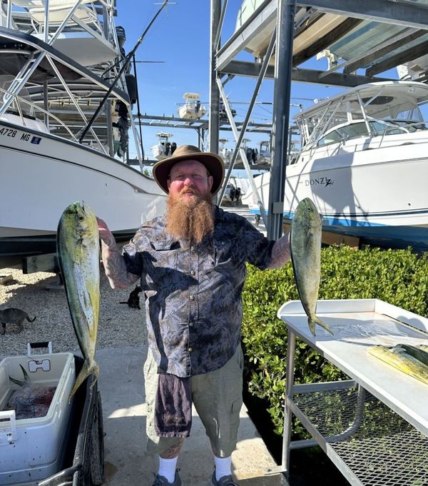 Johnny Maddox Charters Papa 31