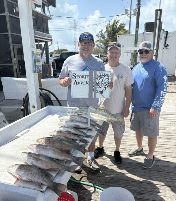 Johnny Maddox Charters Papa 31