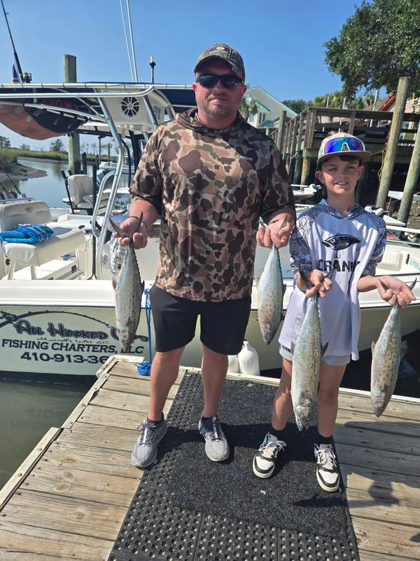 ALL HOOKED UP FISHING CHARTERS LLC