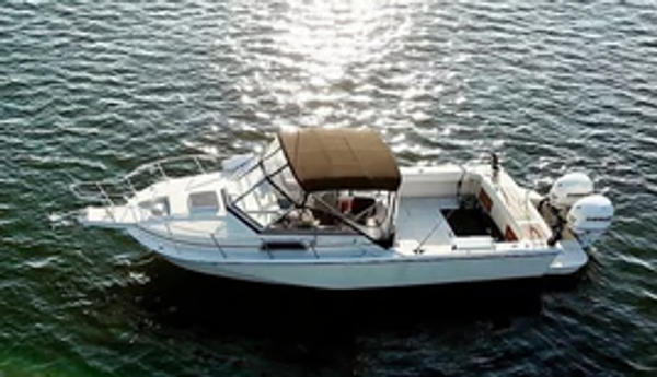 Cape Classic Fishing Charters