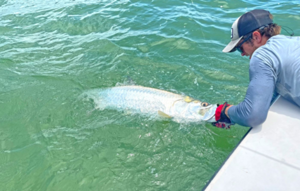 Fair Winds Fishing Charters