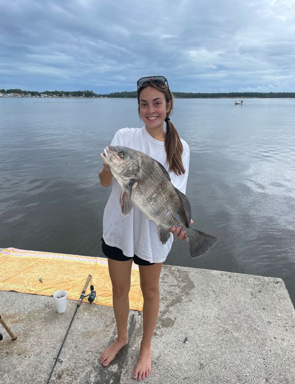 Onslow Bay Waterman Charters