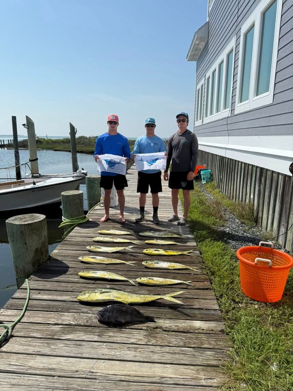 CHfishing