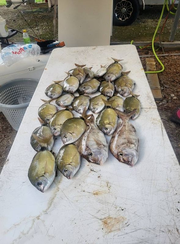 Line Life Fishing Company