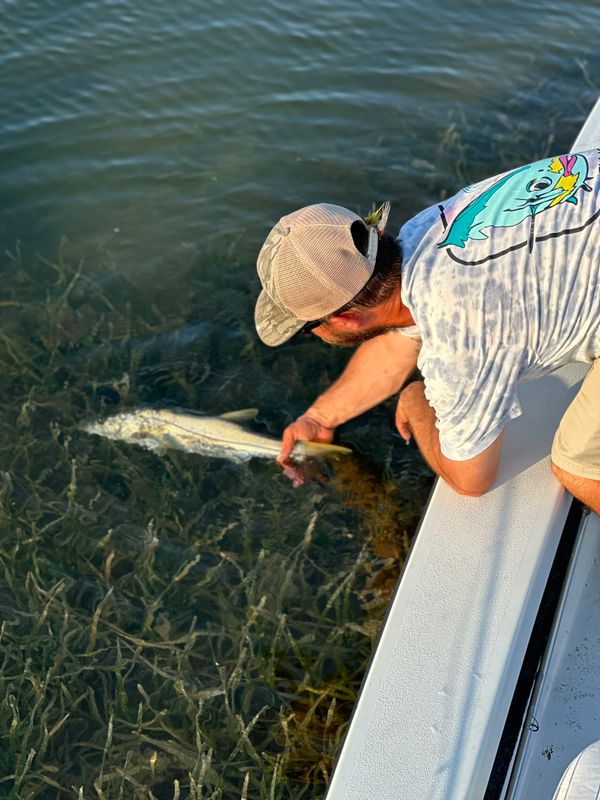 Southern Cut Charters