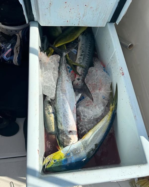 Gin Clear Fishing Charters