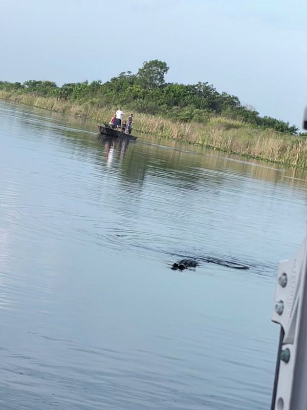 Swampdog Tours