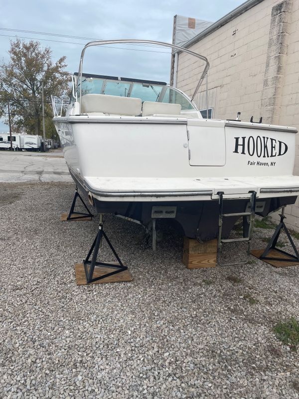 419 Lake Erie Sportfishing
