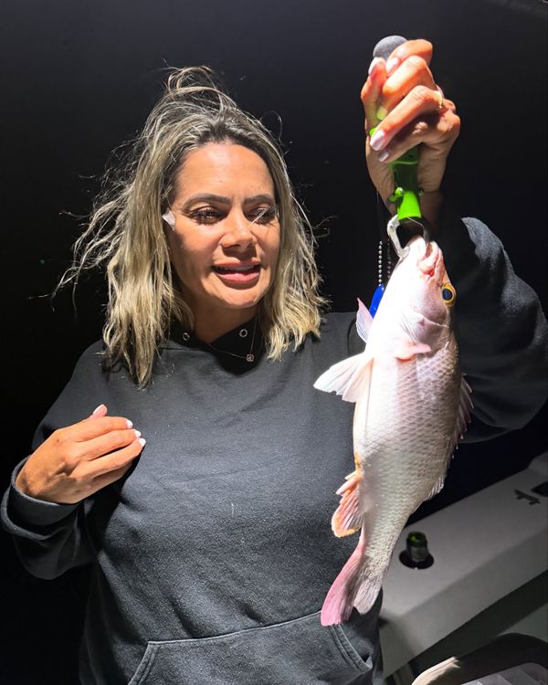 Reel’n Tails Charters
