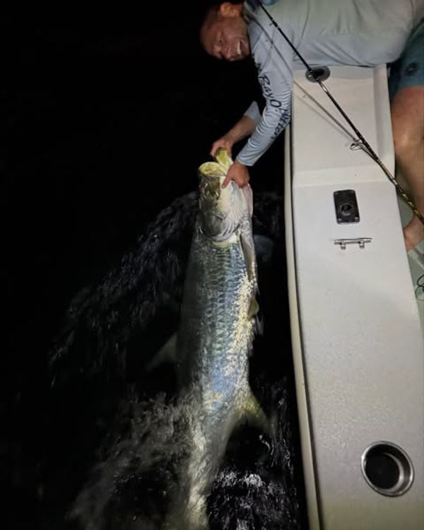 Reel’n Tails Charters