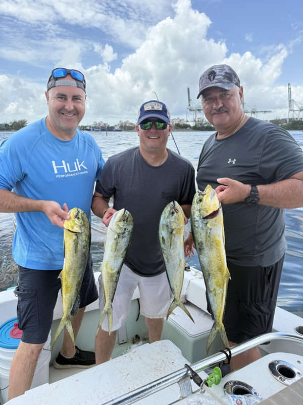 Reel’n Tails Charters