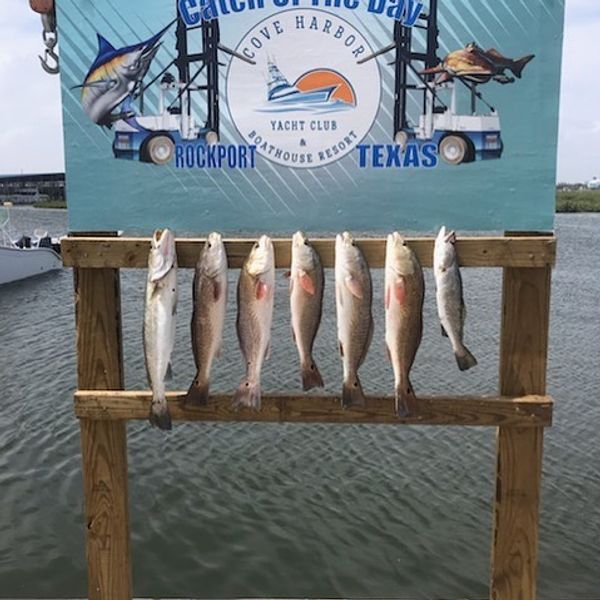 Nauti Hookers Guide Service