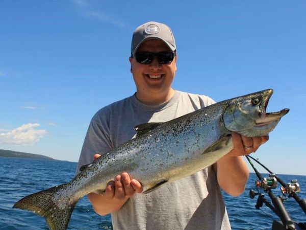 Kingfisher Charters
