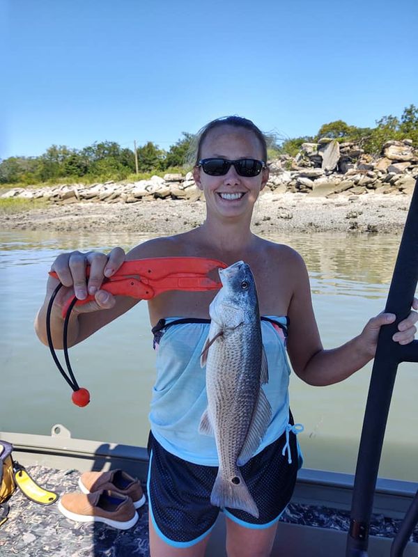 Muddy Island Charters