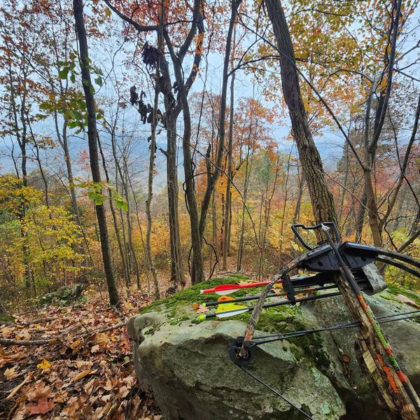 Bear Essentials Outdoor Outfitters