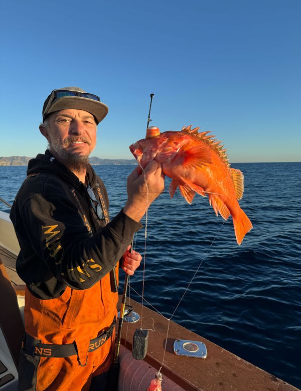 Mystic Queen Sportfishing