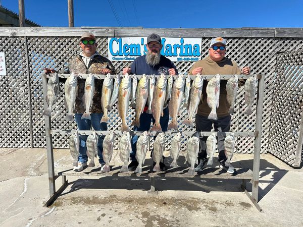 DSJ Fishing Charters