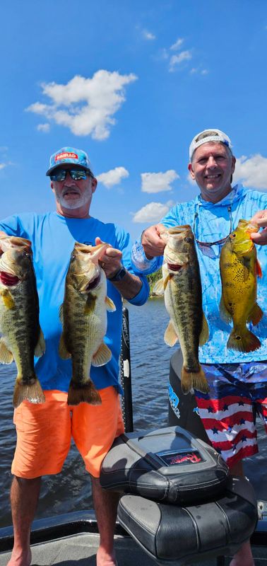 Bass Whisper Guide