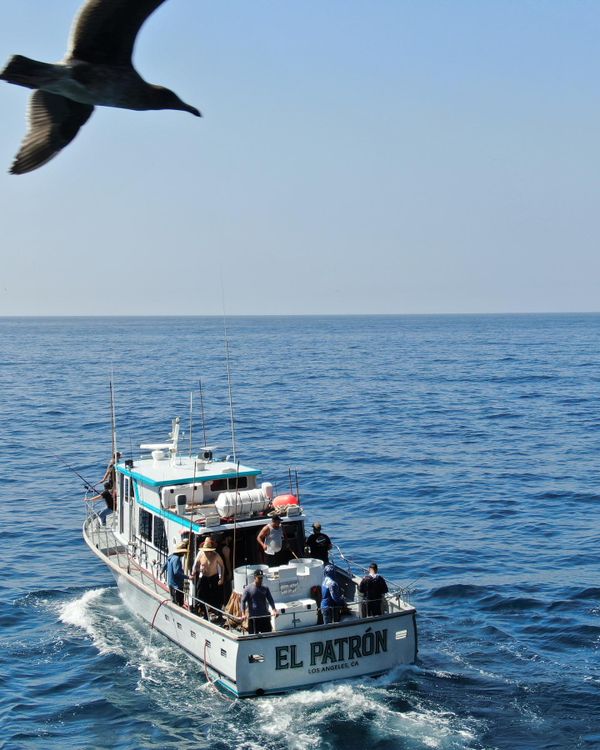 El Patrón Sportfishing