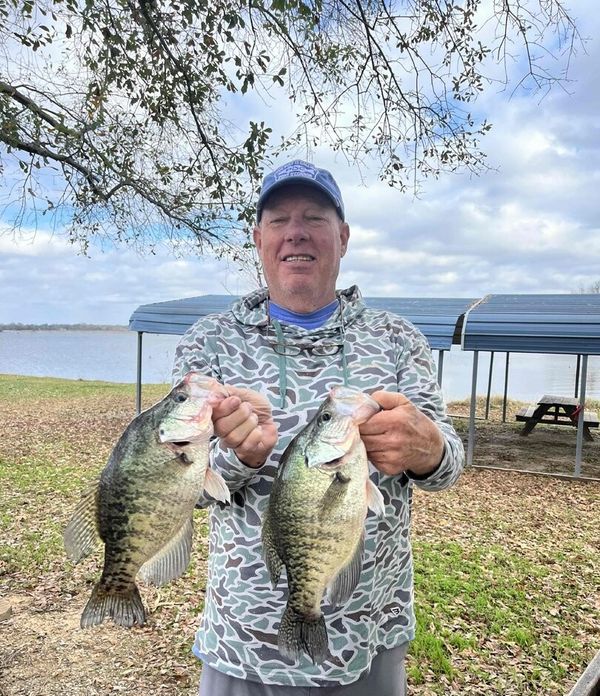 Dblrcatfish & Crappie