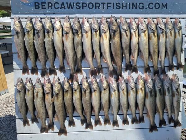 Bercaw Sportfishing