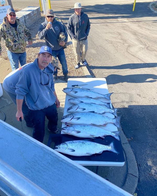 David Rooney Fishing