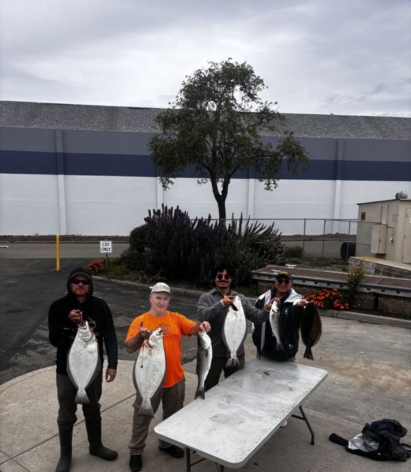 David Rooney Fishing