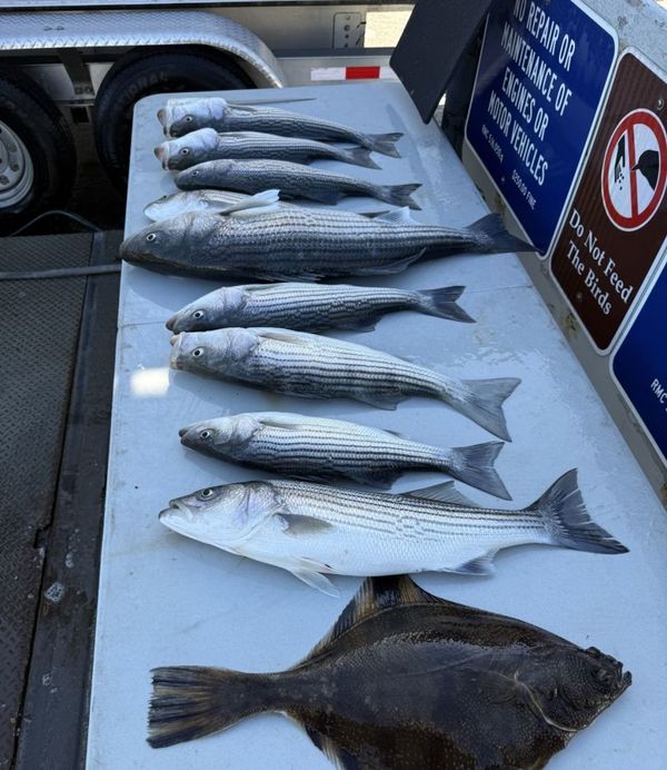 David Rooney Fishing