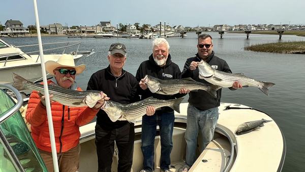 Aquaholic Offshore Fishing