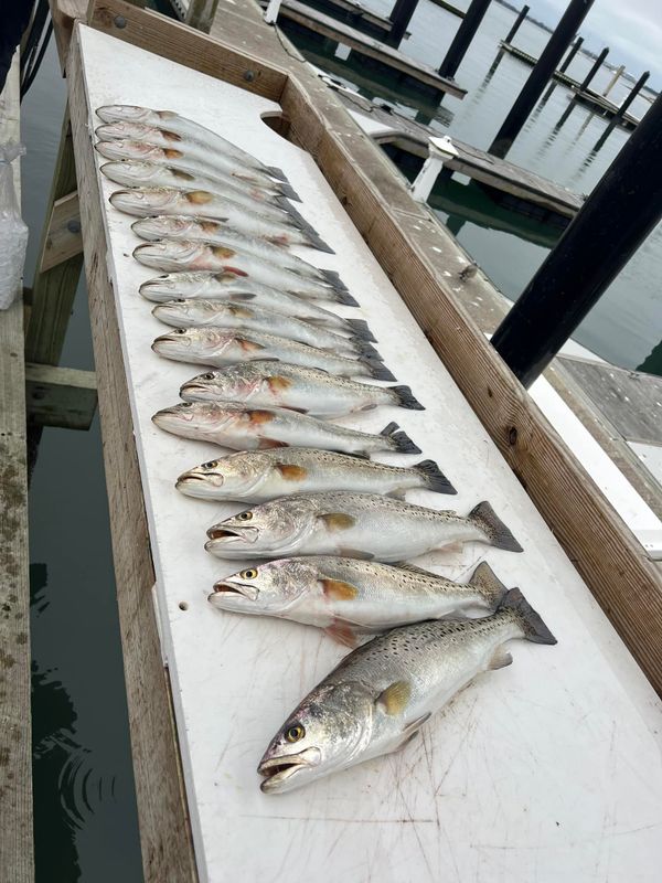 Reel Tight Adventures