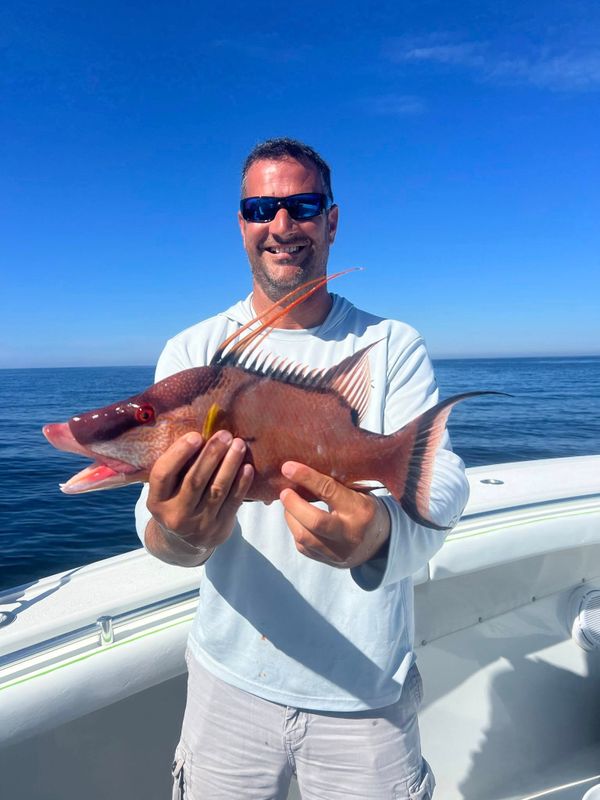 SKIRTCHASER CHARTERS 