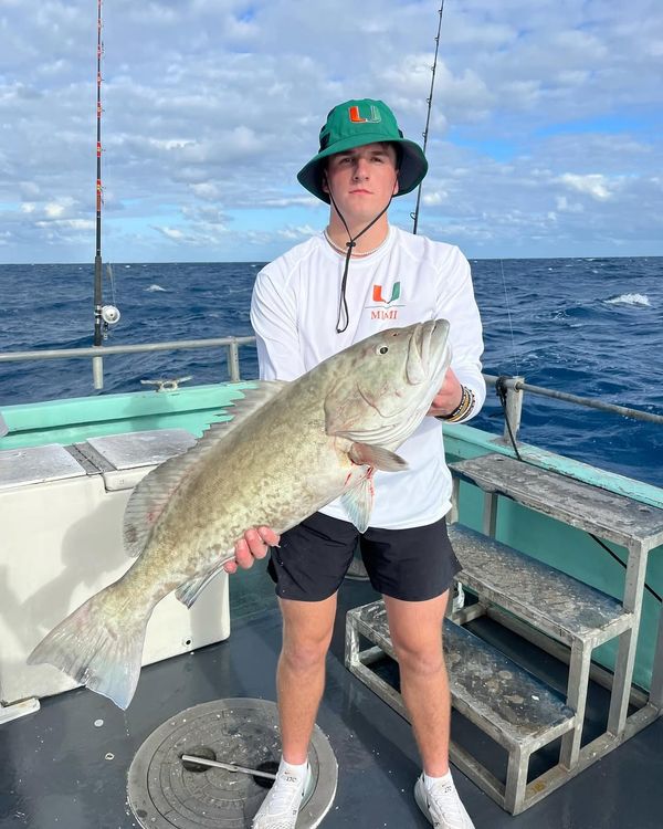 Get Reel Sportfishing