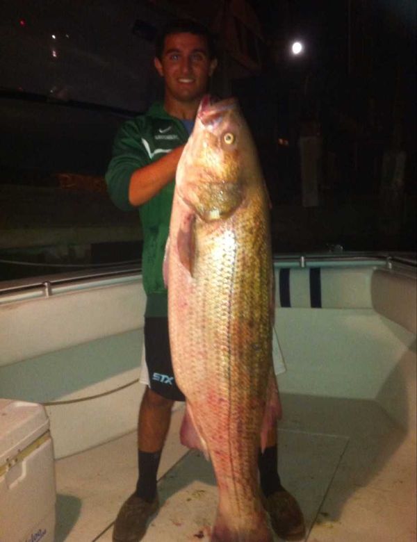 Long Island Light Tackle LLC