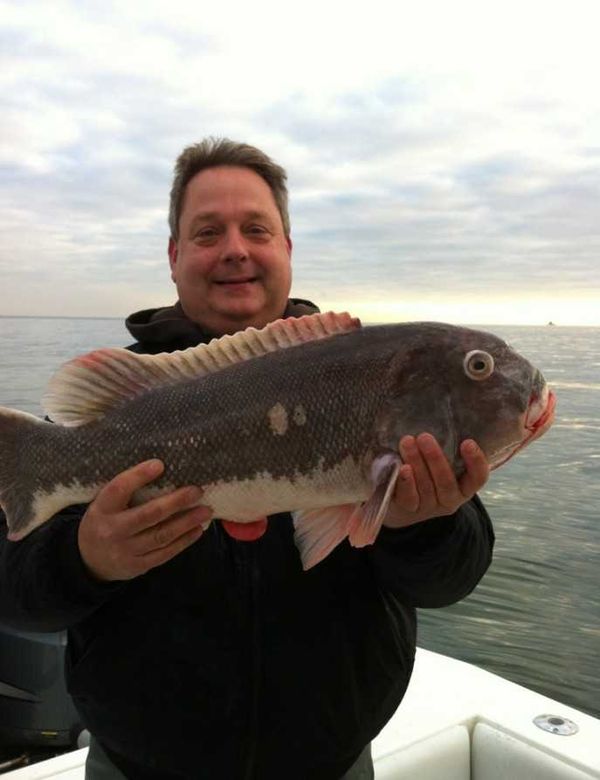 Long Island Light Tackle LLC