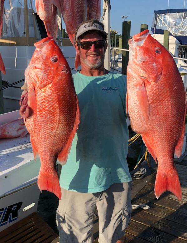 Shearwater Charters