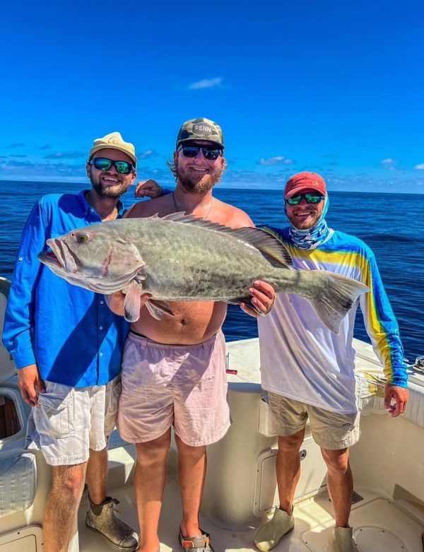 Renegade Charters