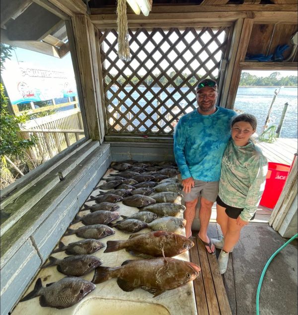 Renegade Charters