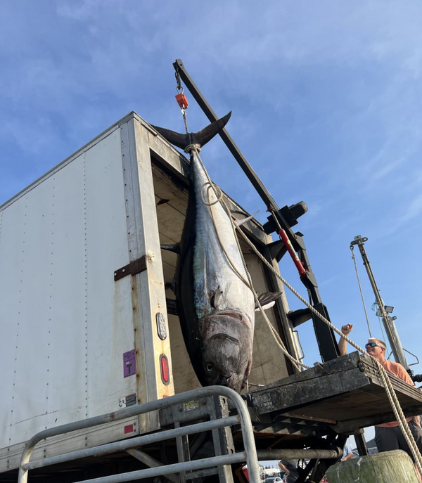 Kill Day Sportfishing
