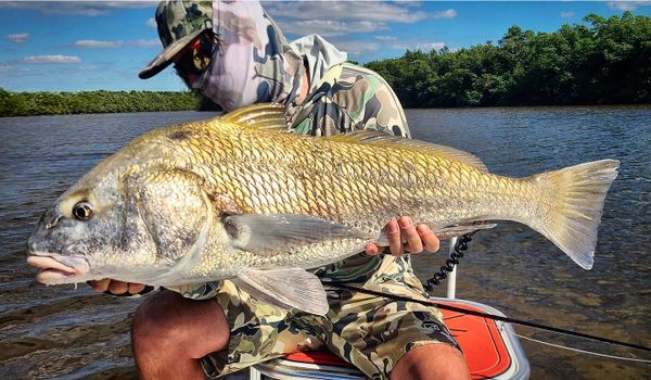 Reel Intense Fly Fishing